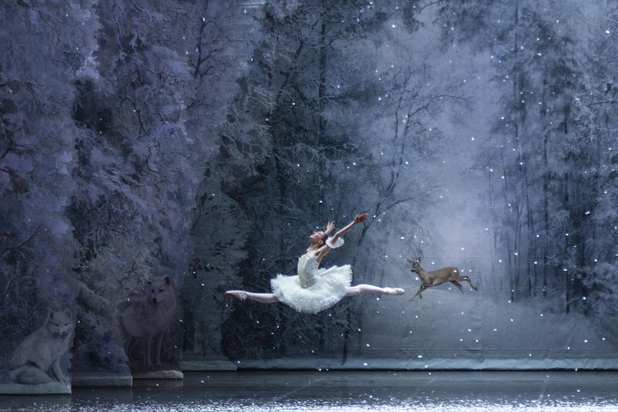 Un addobbo che vale un sogno di Accademia Teatro alla Scala Un addobbo che vale un sogno-Accademia Teatro alla Scala