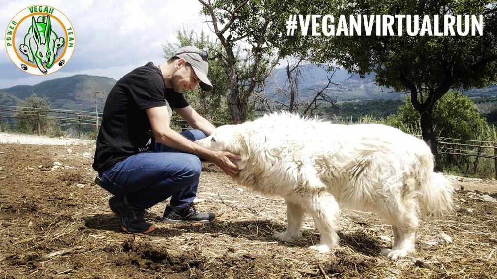 #VEGANVIRTUALRUN di ASD VEGAN POWER TEAM #VEGANVIRTUALRUN-ASD VEGAN POWER TEAM