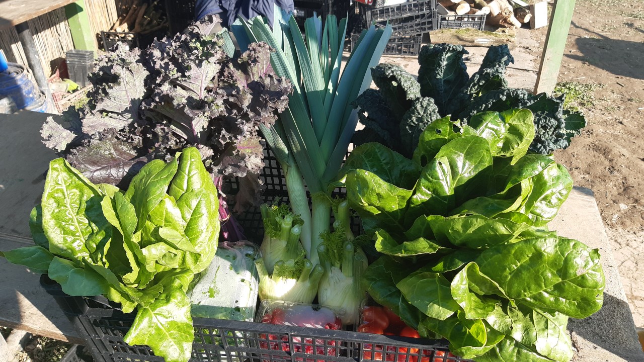 In memoria di Enrico Pavesi di L'Impronta Associazione ONLUS In memoria di Enrico Pavesi -L'Impronta Associazione ONLUS