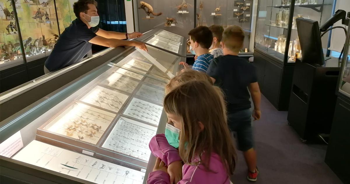 Gulp! Splash! Bang! di Diocesi di Alba Gulp! Splash! Bang!-Diocesi di Alba