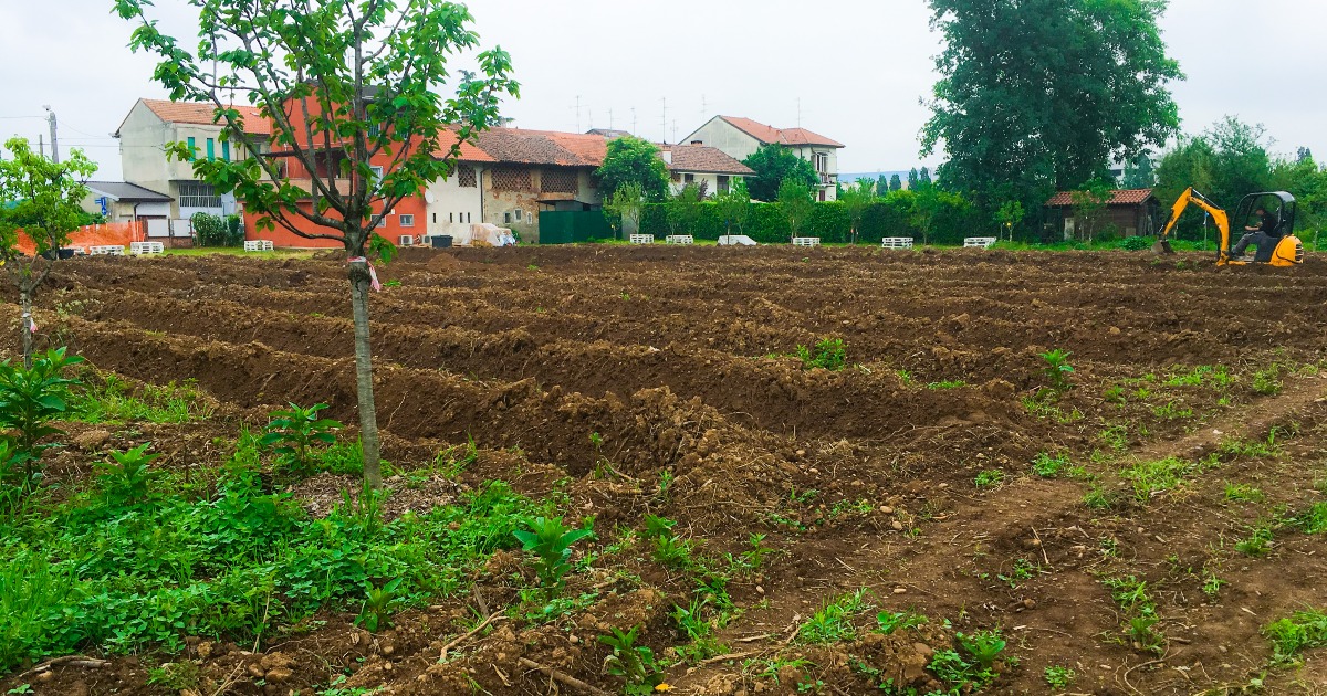 di Veronica, Teresa, Flavio e Ferdinando-Staffetta RunForLife