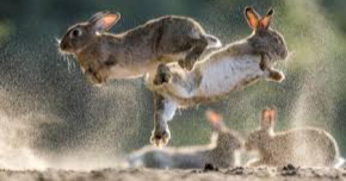 corriamo per le vacanze arcobaleno!-Francesca Julitta