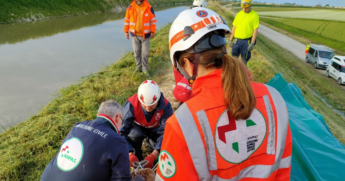 Insieme per aiutare l'Emilia-Romagna-Chubb European Group SE