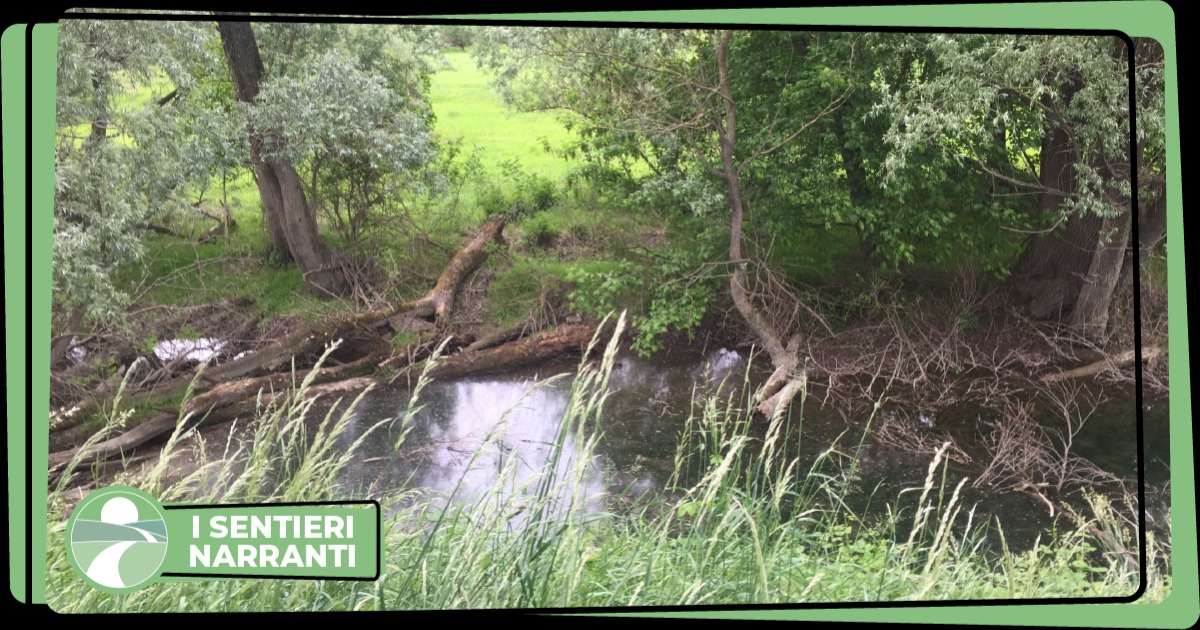 Natura da esplorare di Boffalora d'Adda Natura da esplorare-Boffalora d'Adda